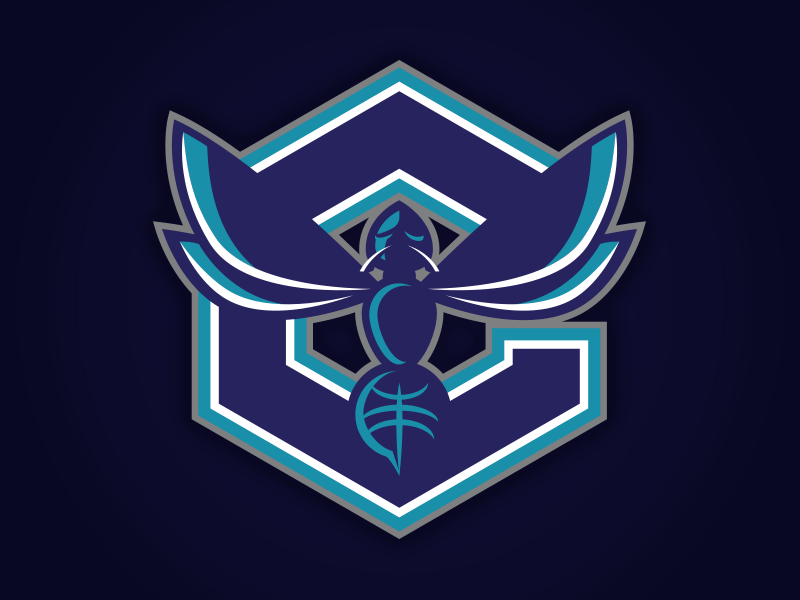CHARLOTTE HORNETS - NEW LOGO CONCEPT basketball branding charlotte concepts design hornets logos matt harvey mwhstudios nba sports