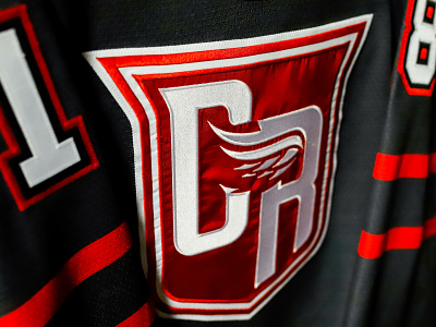GRAND RAPIDS GRIFFINS - FAN UNIFORM 2018 ahl branding detroit grand rapids griffins hockey logo red wings