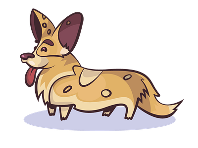 Corgi the dog