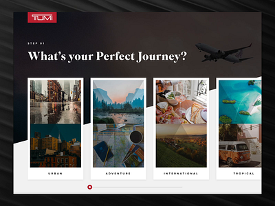 Trip Discovery Interface after effects animation ecommerce ipad luggage retail travel ui wanderlust