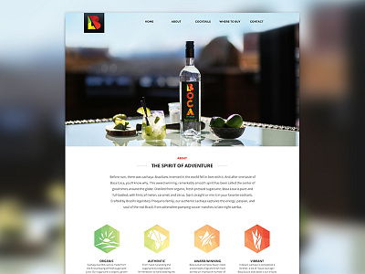 Boca Loca brazil cachaça clean cocktails proxima nova ui website