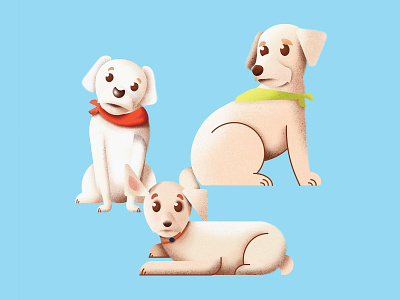 Three Dogs texture digitalart procreate illustration dogs bichon frise toy poodle maltese