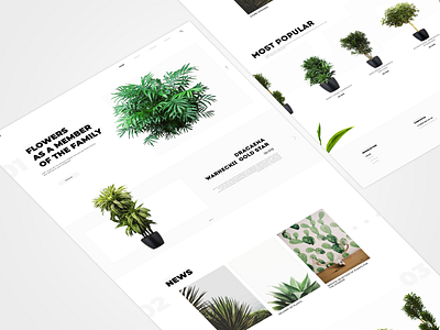 Plantsmarkt • Home Page adobe xd photoshop ui ux design ui ui design ux design