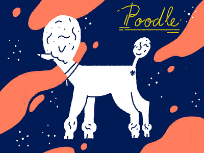 poodle doodle illustrate illustration photoshop poodle type typography