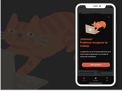 Graphic Design app- Crash report argentina black cat crash crash report dark design figma graphic design iphone orange ui uidesign user interface ux writing writing