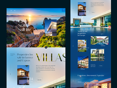 Real Estate investment project cyprus greece investment minimal real estate ui uidesign uiux webdesign website