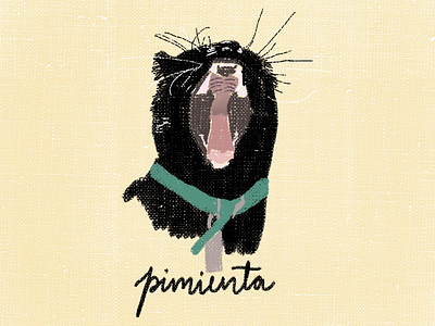 Proyecto Mascotis | Pimienta