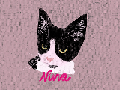 Proyecto Mascotis | Nina cat cats design draw drawing illustration pet pets procreate procreate art procreateapp