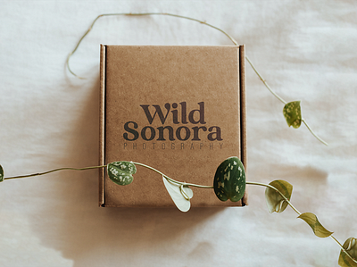 Wild Sonora Photography 2d art direction brand development branding concept creative direction design illustration logo