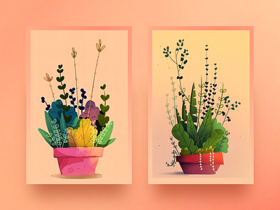 potted plants illustration illustration digital photoshop plant plants