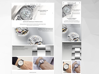 Watch website concept