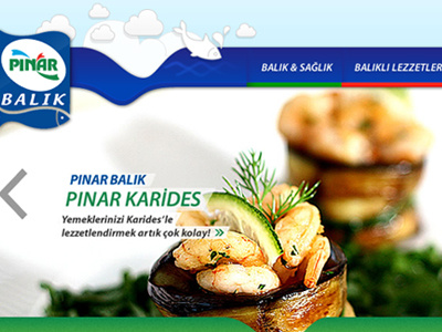 www.pinarbalik.com.tr Web Design banner blue fish food graphic design icon interface slider ui ux web website