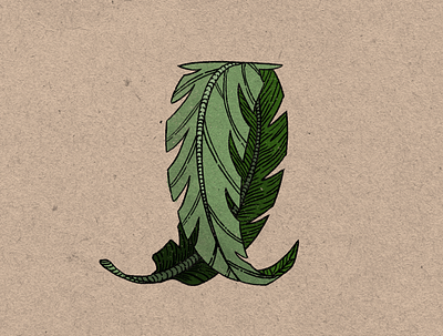 Turn a New Leaf botanical illustration leaf plant plants procreate texture