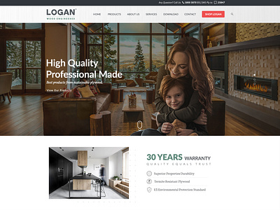 Logan Wood Engineered Homepage Template 2 0 small business web design web design and development web designer web developer website website template