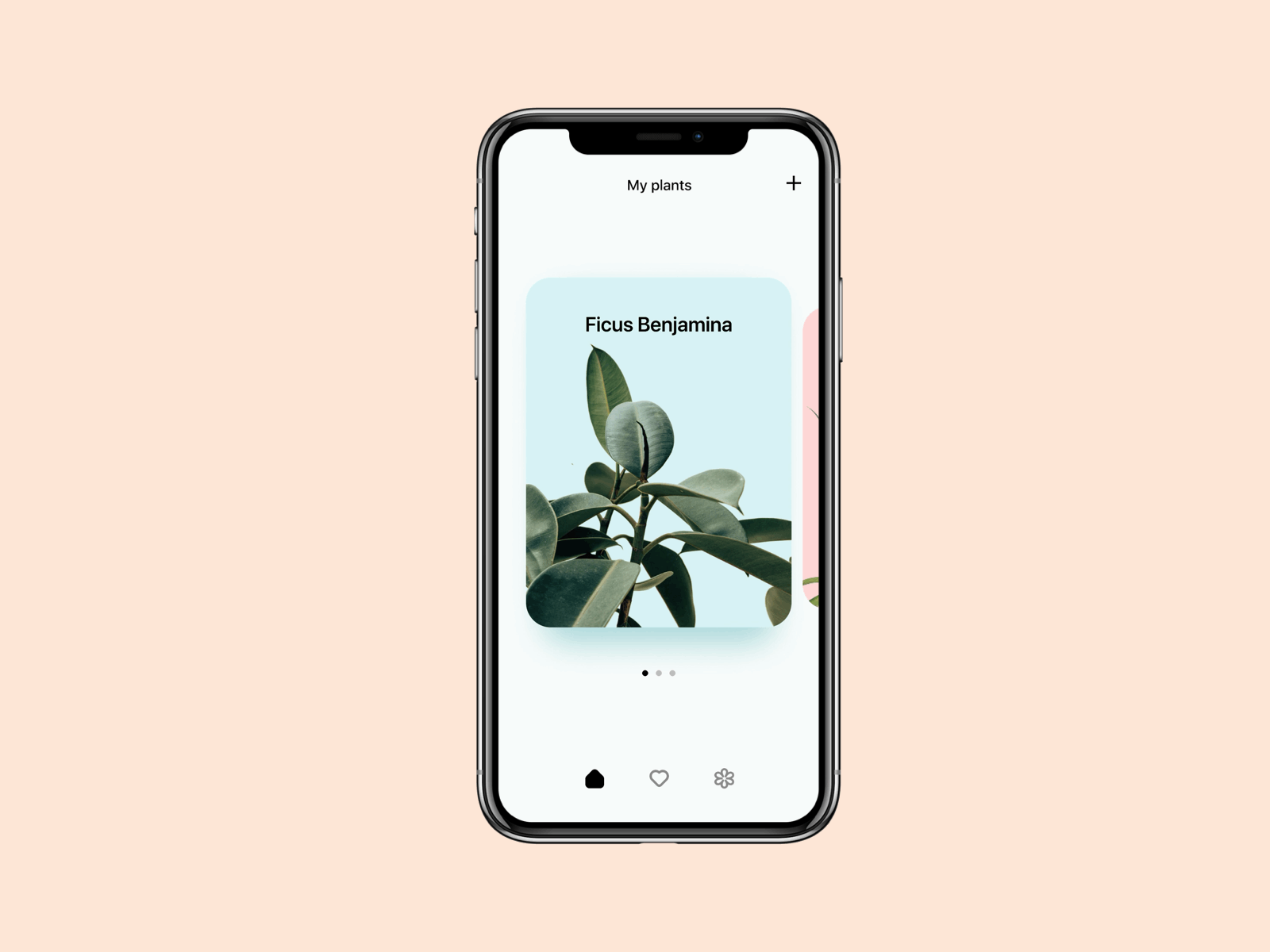 BHSAD first shot 🌿 animation app design flowers minimal plants ui ux