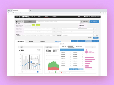 NetBase Pro: Dashboard Structure