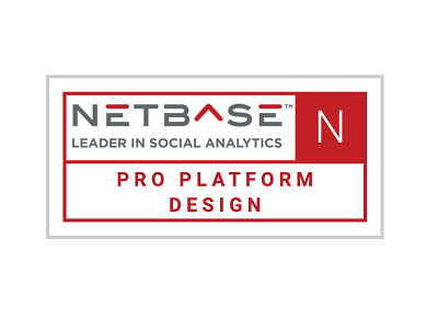 NetBase Pro: Overview brainstorming sketching software as a service user experience design wireframing