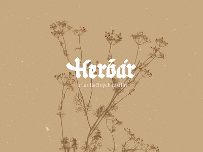 Herbár herbs lettering
