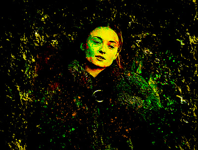 Sansa Stark. design graphicdesign illustration photoshop