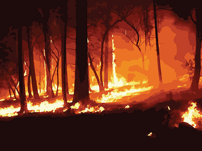 WILDFIRES