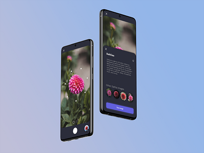 Flower Search design illustration ui ux