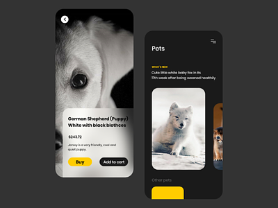 A pets wallpaper app for mobile glassmorphism ui ux