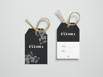 EXEDRA brand design brand identity branding design illustration logo tags typography vector