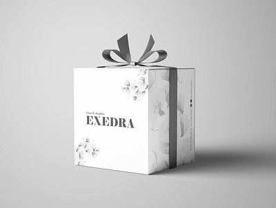 EXEDRA box box design brand design brand identity branding branding design graphic design illustration logo pack package design packaging vector