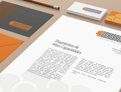 Cerebremos brand design brand identity branding diseño grafico freelance graphicdesign imagen visual logo marca papeleria papeleria institucional paper