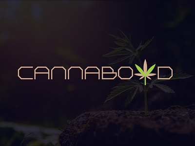 CANNABOYD Logo Design