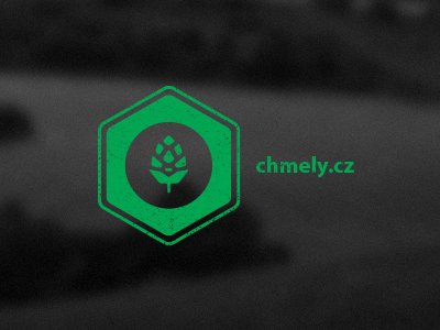 Logo for chmely.cz design green logo