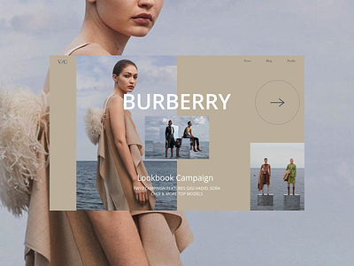 Burberry designs, themes, templates and downloadable graphic elements on  Dribbble