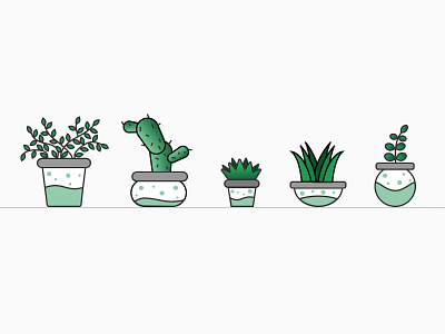 Potted plants 2d basil bonsai cactus character characters design feature flat icon design iconography icons illustraion illustrated icons illustrations nature plant plants pot web icons