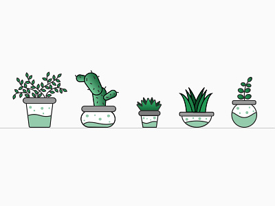 Potted plants