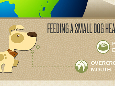 Dog food infographic detail