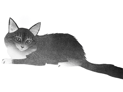 My cat 2 animal cat illustration