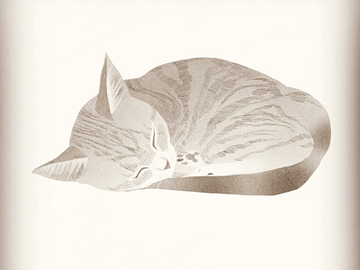 My cat 3 cat animal illustration