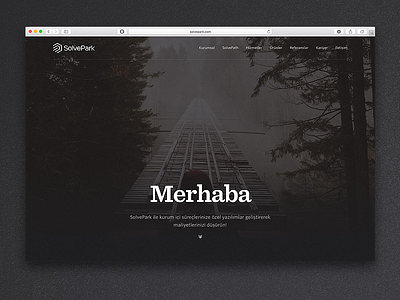 SolvePark bold footer hero image navigation sentinel solvepark typography website