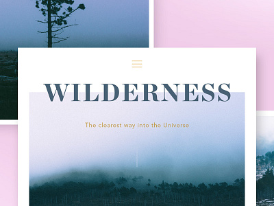 Wilderness photo pack design fog graphic grid hipster layout mist mountain photo stock trees vintage