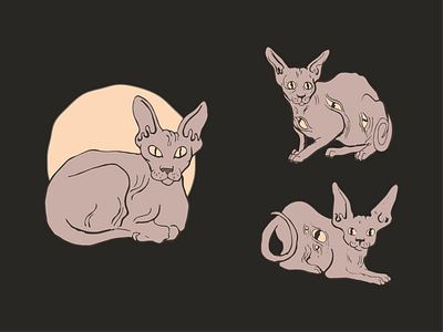 Sphynx Elements