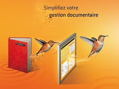 Colibri Brochure bird brochure effect hummingbird orange yellow