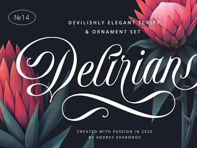 Delirian Script Ornaments branding design font font design font duo font family font template fonts illustration ornaments vector