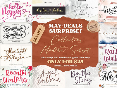 Modern Script Font Bundle