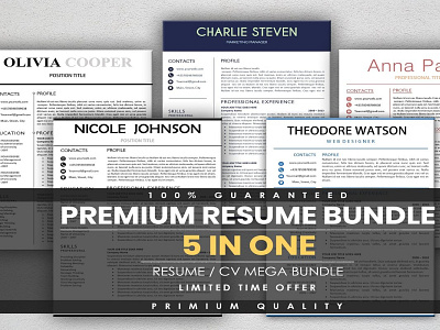 Premium CV Template Bundle branding branding design cv cv clean cv design cv resume cv resume template cv template resume resume clean resume cv resume design resume template