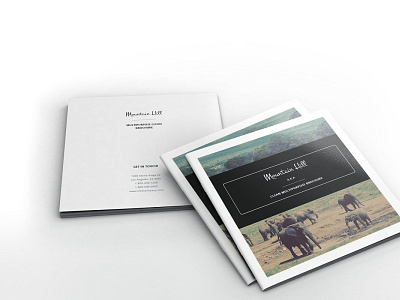 Multipurpose Square Clean Brochure