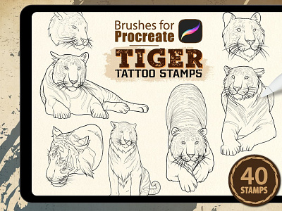 Procreate Tiger Tattoo Stamps branding branding design procreate app procreate art procreate brushes procreate illustration procreate lettering procreateapp