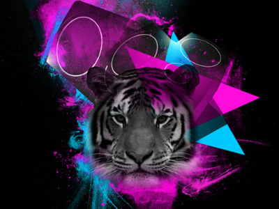 Tiger Graphic club design graphic graphic design