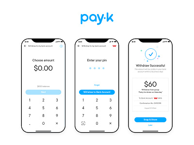 PAYK finance mobile mobile app design payment typography ui design ux