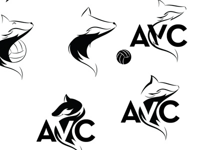 Arctic Volleyball Club design fox logo volleyball