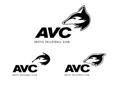 Arctic Volleyball Club 2 fox logo volleyball